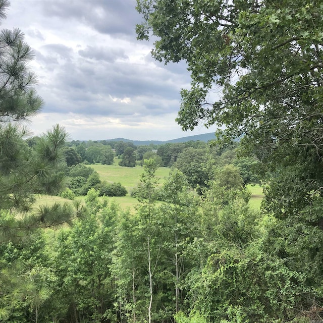 501 Belvedere Dr Unit C-1, Hot Springs, AR 71901 - view of nature