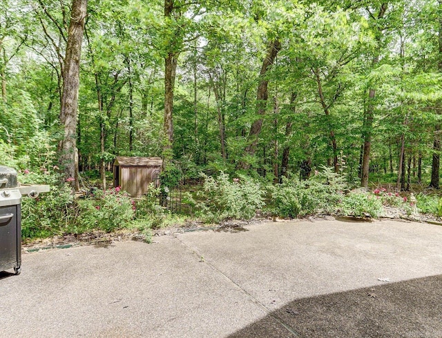 21 Conquista Ln, Hot Springs Village, AR 71909 - view of patio featuring a view of trees and fence
