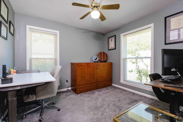 11 Blue Mountain Dr, Maumelle, AR 72113 - office featuring plenty of natural light, a textured ceiling, carpet, and ceiling fan