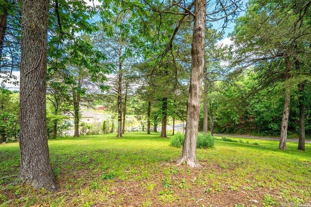 4915 Albert Pike Rd, Hot Springs, AR 71913 - view of grassy yard