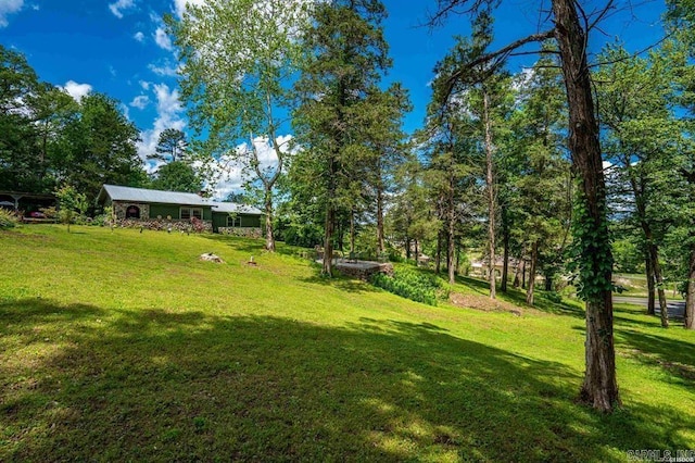 4915 Albert Pike Rd, Hot Springs, AR 71913 - view of green lawn