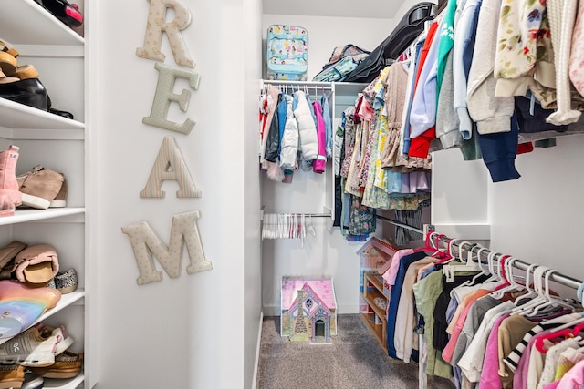 spacious closet featuring carpet flooring