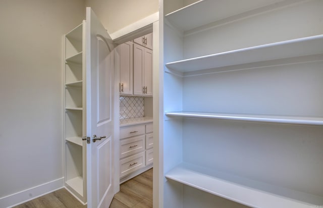 173 Maumelle Valley Dr, Maumelle, AR 72113 - walk in closet with light wood-style floors
