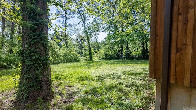 618 N 9th St, Thayer, MO 65791 - view of green lawn with a view of trees