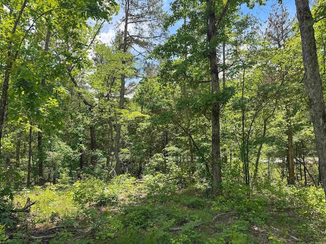 3200 Edgemont Rd, Quitman, AR 72131