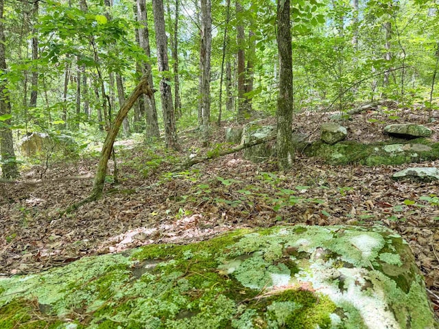 3200 Edgemont Rd, Quitman, AR 72131