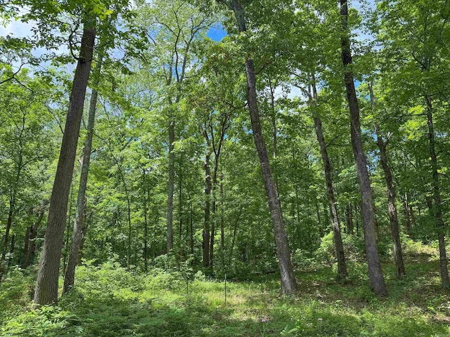 3200 Edgemont Rd, Quitman, AR 72131