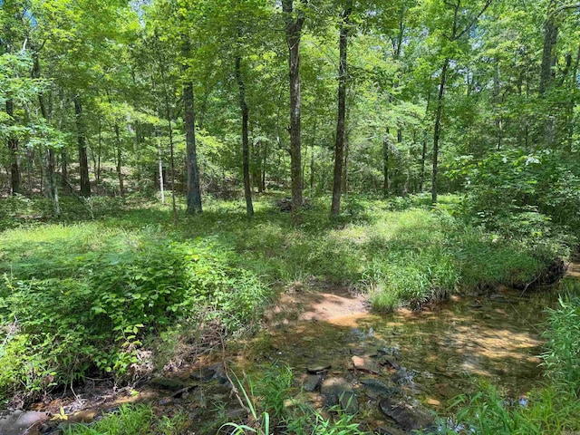 3200 Edgemont Rd, Quitman, AR 72131