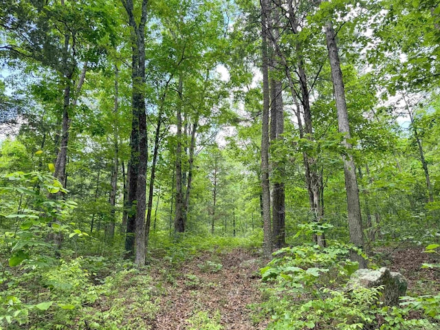 3200 Edgemont Rd, Quitman, AR 72131