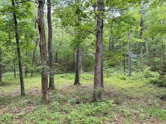 3200 Edgemont Rd, Quitman, AR 72131