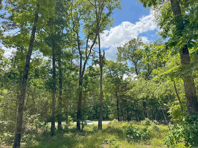 3200 Edgemont Rd, Quitman, AR 72131