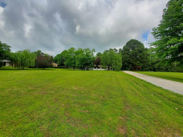 800 Hilltop Dr, Piggott, AR 72454 - view of green lawn