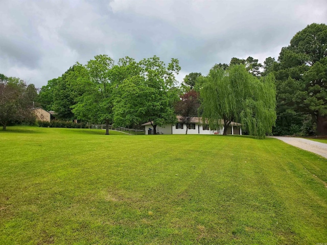 800 Hilltop Dr, Piggott, AR 72454 - view of green lawn
