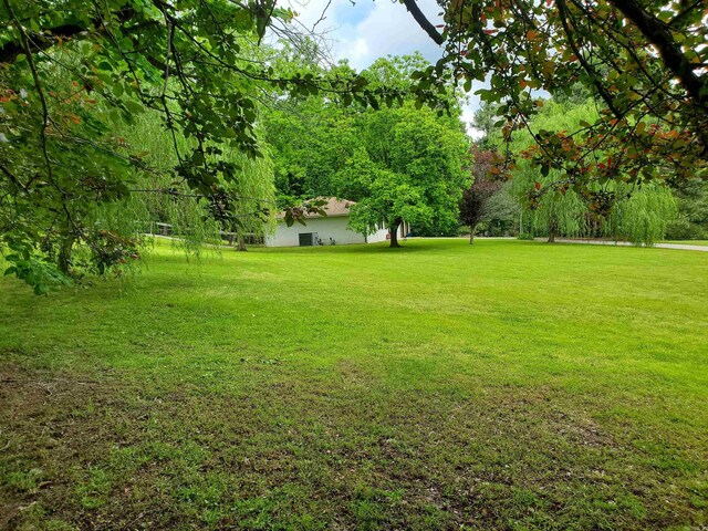 800 Hilltop Dr, Piggott, AR 72454 - view of green lawn