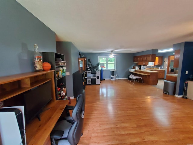 800 Hilltop Dr, Piggott, AR 72454 - home office with ceiling fan, light wood-type flooring, and baseboards