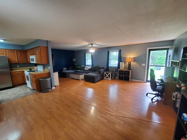 800 Hilltop Dr, Piggott, AR 72454 - living room featuring light wood finished floors, an office area, healthy amount of natural light, and a ceiling fan