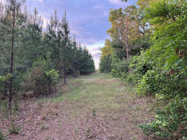 141 N Quail Ln, Murfreesboro, AR 71958