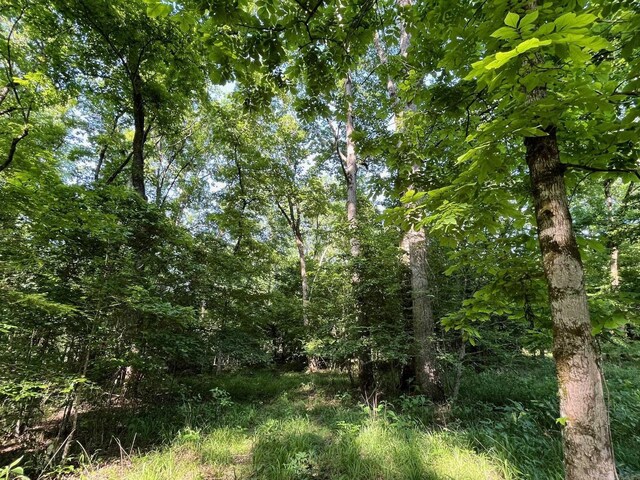 141 N Quail Ln, Murfreesboro, AR 71958