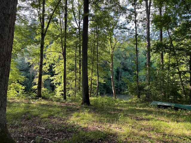 141 N Quail Ln, Murfreesboro, AR 71958