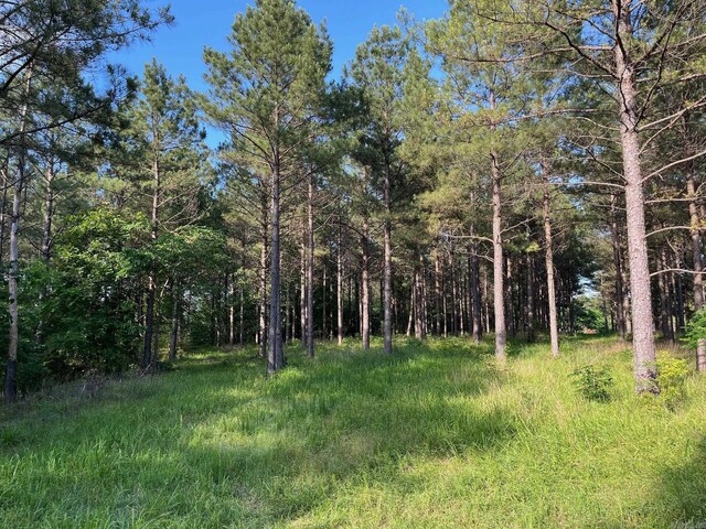 141 N Quail Ln, Murfreesboro, AR 71958