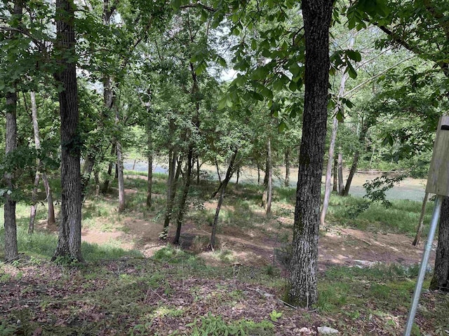 7 Minentonka Dr, Cherokee Village, AR 72529 - view of local wilderness