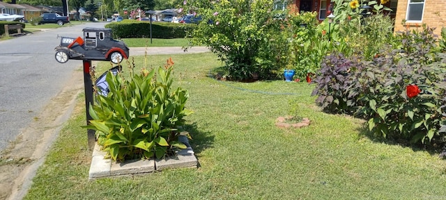 1222 Hendrix Ave, Little Rock, AR 72204 - view of grassy yard