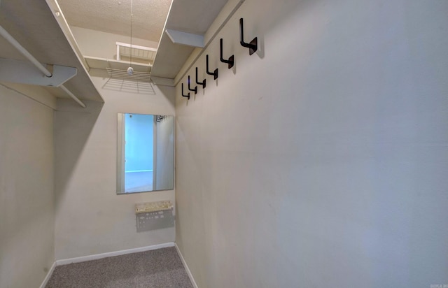 700 E 9th St Unit 9A, Little Rock, AR 72202 - spacious closet featuring carpet flooring