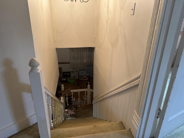 stairway featuring carpet