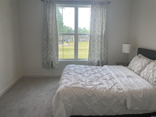 2009 Berkshire Dr, Benton, AR 72019 - carpeted bedroom with multiple windows and baseboards