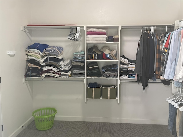 2009 Berkshire Dr, Benton, AR 72019 - spacious closet with carpet