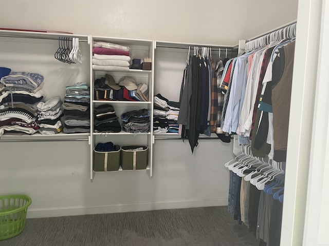 2009 Berkshire Dr, Benton, AR 72019 - spacious closet with carpet floors
