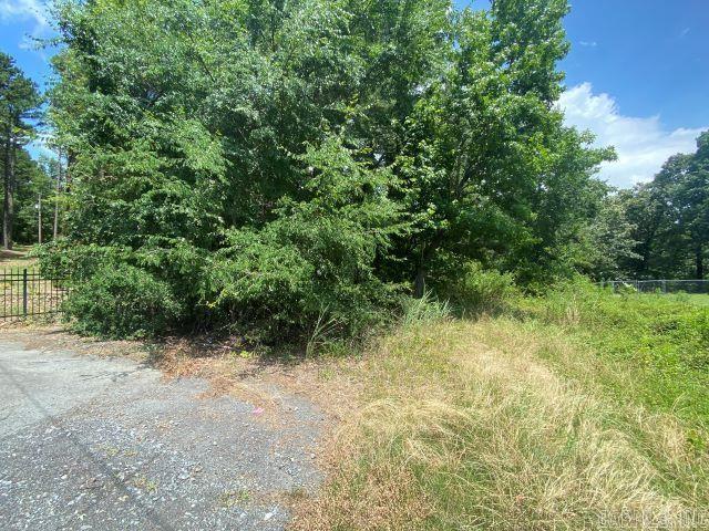 0 Panther Mountain Rd, Maumelle, AR 72113
