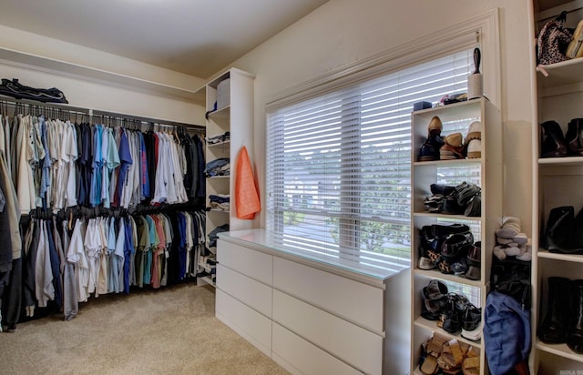 32 Bronte Ct, Little Rock, AR 72223 - walk in closet with light carpet