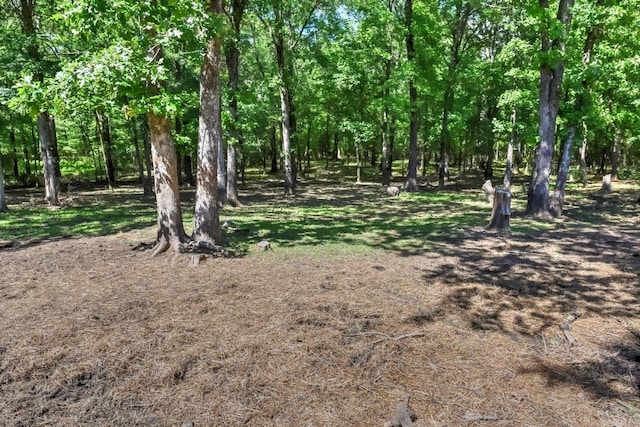 22 Primrose Ln, Greenbrier, AR 72058 - view of local wilderness