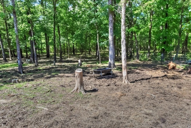 22 Primrose Ln, Greenbrier, AR 72058 - view of yard