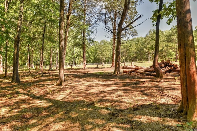 22 Primrose Ln, Greenbrier, AR 72058 - view of yard featuring a forest view