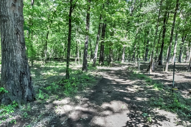 22 Primrose Ln, Greenbrier, AR 72058 - view of woods