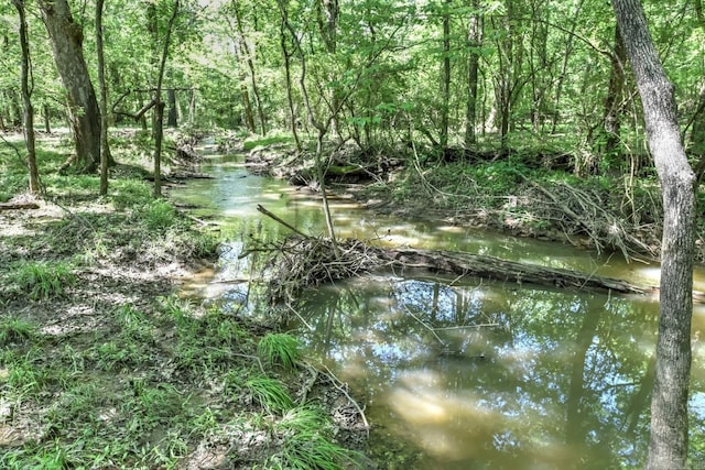 22 Primrose Ln, Greenbrier, AR 72058 - water view