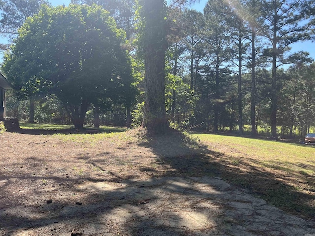 911 Apple Rd, Bonnerdale, AR 71933 - view of yard