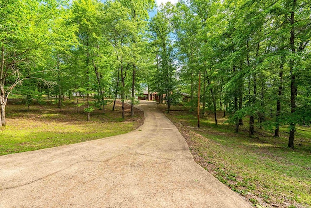 67 Delton Mccauley Rd, Kirby, AR 71950 - view of concrete surface
