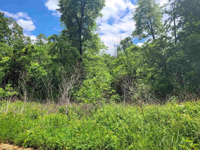 TBD Young Rd, Glencoe, AR 72539