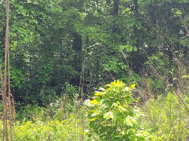 TBD Young Rd, Glencoe, AR 72539