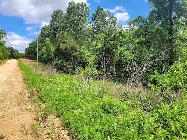TBD Young Rd, Glencoe, AR 72539
