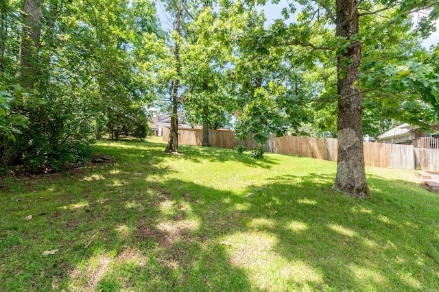 1010 Claycut Cir, North Little Rock, AR 72116 - view of yard