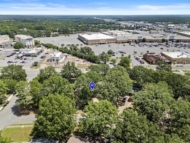 42 Desoto Cir, North Little Rock, AR 72116 - aerial view