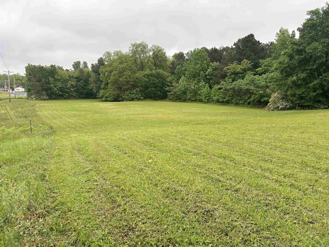 000 N Maple St, Searcy, AR 72143