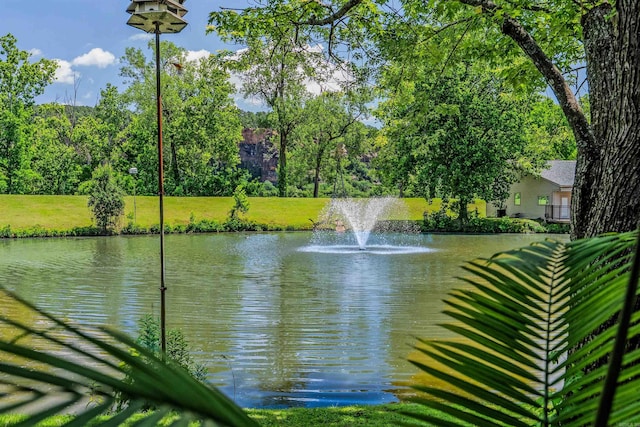 2510 Riverfront # 2, Little Rock, AR 72202 - water view
