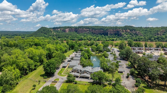 2510 Riverfront # 2, Little Rock, AR 72202 - bird's eye view of a forest