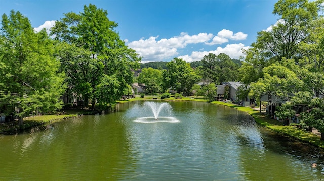 2510 Riverfront # 2, Little Rock, AR 72202 - water view