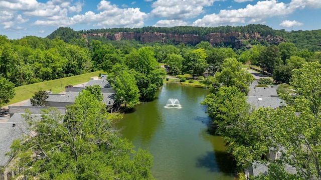 2510 Riverfront # 2, Little Rock, AR 72202 - drone / aerial view of a heavily wooded area and a nearby body of water